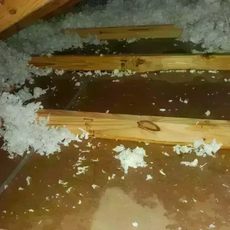 Attic Water Damage in Scott County, KY